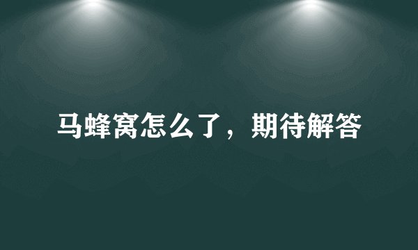 马蜂窝怎么了，期待解答