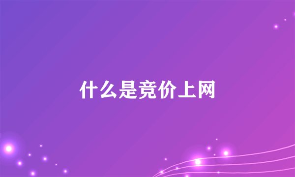 什么是竞价上网