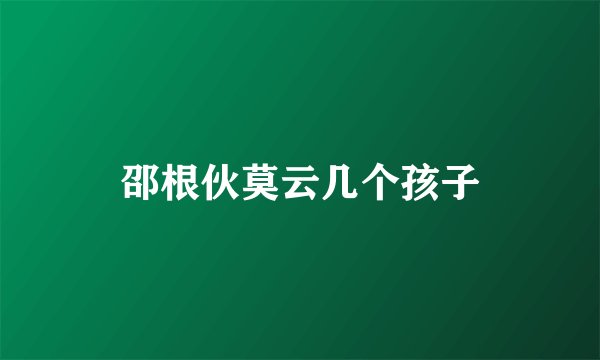 邵根伙莫云几个孩子