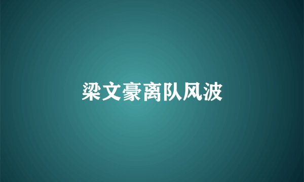 梁文豪离队风波