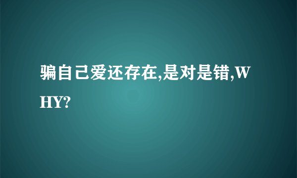 骗自己爱还存在,是对是错,WHY?