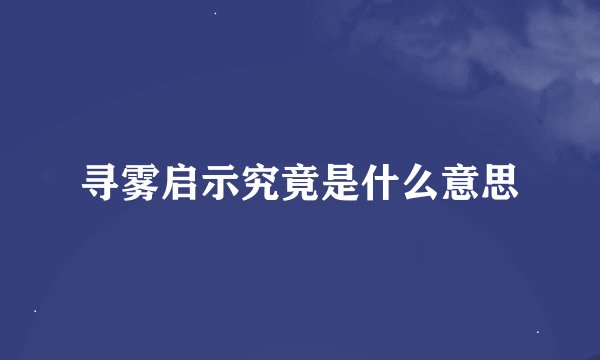 寻雾启示究竟是什么意思