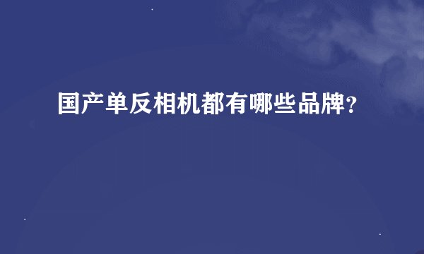 国产单反相机都有哪些品牌？