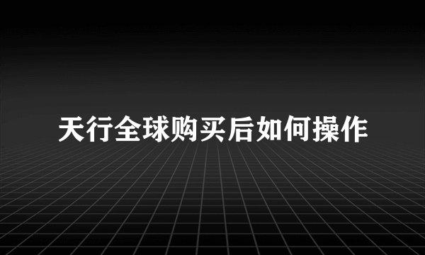 天行全球购买后如何操作