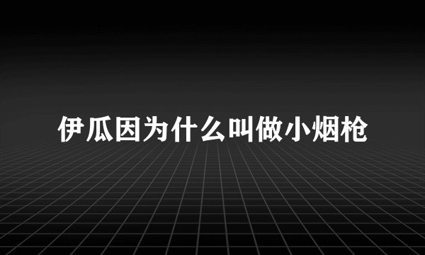 伊瓜因为什么叫做小烟枪
