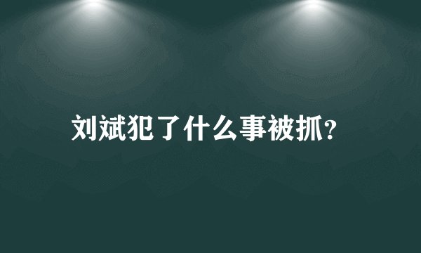 刘斌犯了什么事被抓？