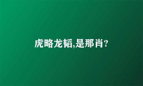 虎略龙韬,是那肖?