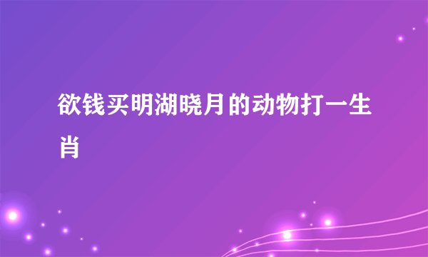 欲钱买明湖晓月的动物打一生肖