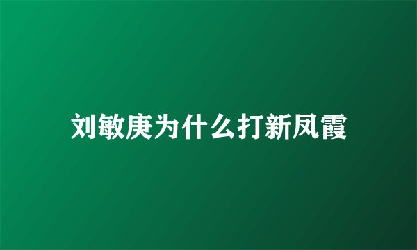 刘敏庚为什么打新凤霞