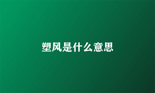 塑风是什么意思
