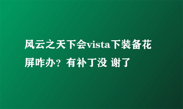 风云之天下会vista下装备花屏咋办？有补丁没 谢了