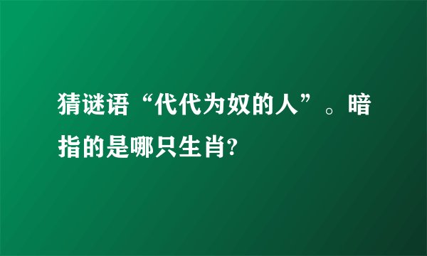 猜谜语“代代为奴的人”。暗指的是哪只生肖?