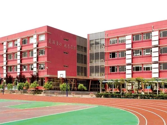 小学校园的面积大约是四什么