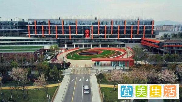 阿里又开始裁员了,这次是...