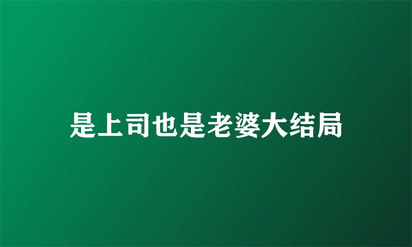 是上司也是老婆大结局