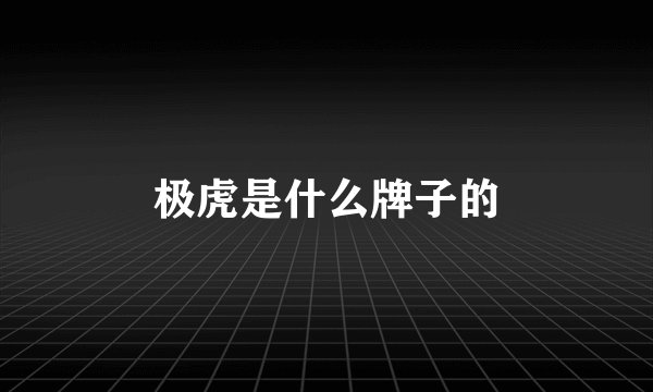 极虎是什么牌子的