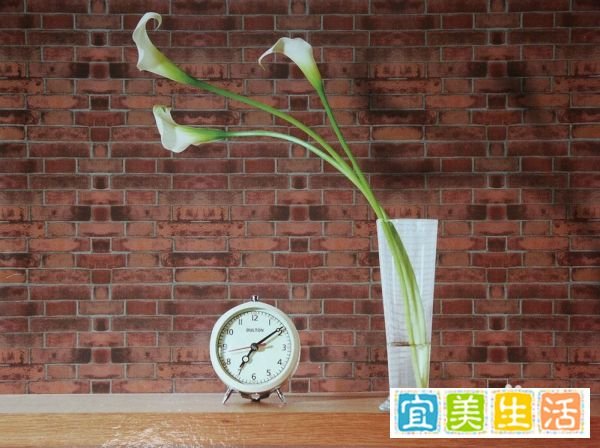 工程纸指的是什么纸