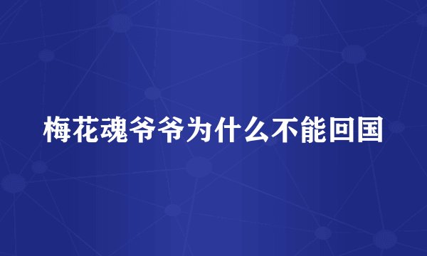 梅花魂爷爷为什么不能回国