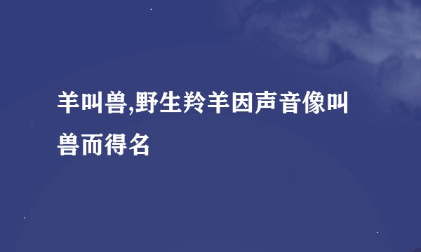 羊叫兽,野生羚羊因声音像叫兽而得名