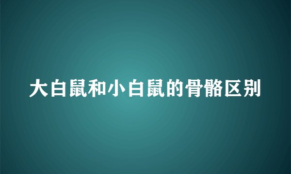 大白鼠和小白鼠的骨骼区别