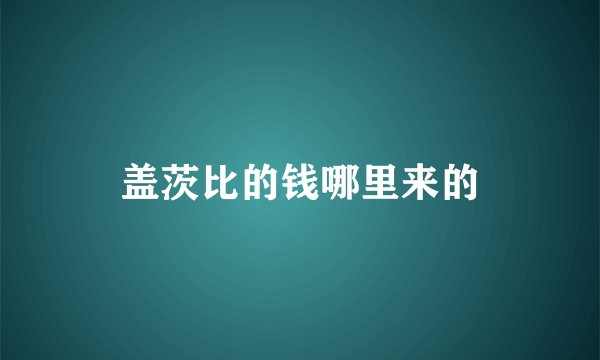 盖茨比的钱哪里来的