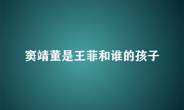 窦靖董是王菲和谁的孩子