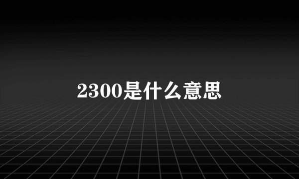 2300是什么意思