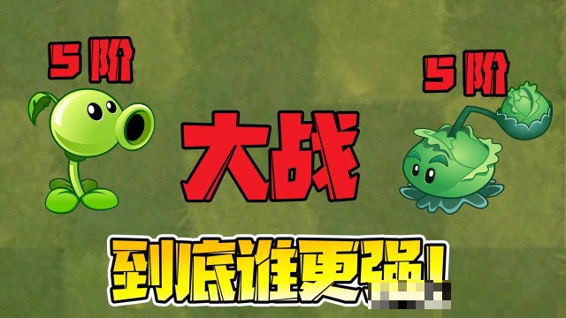 卷心菜投手五阶效果