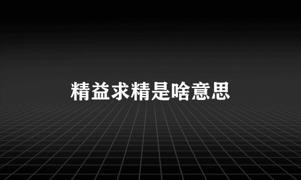 精益求精是啥意思