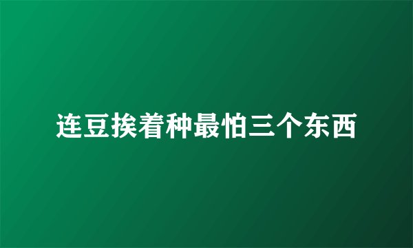 连豆挨着种最怕三个东西