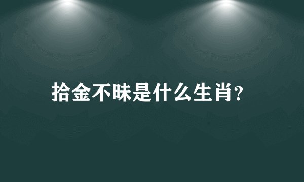拾金不昧是什么生肖？