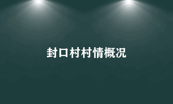 封口村村情概况