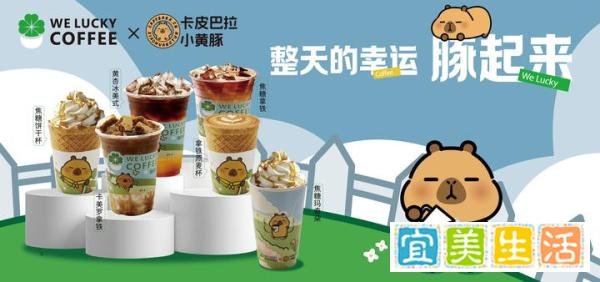 welucky助力深圳小成本咖啡店加盟开启财富之旅