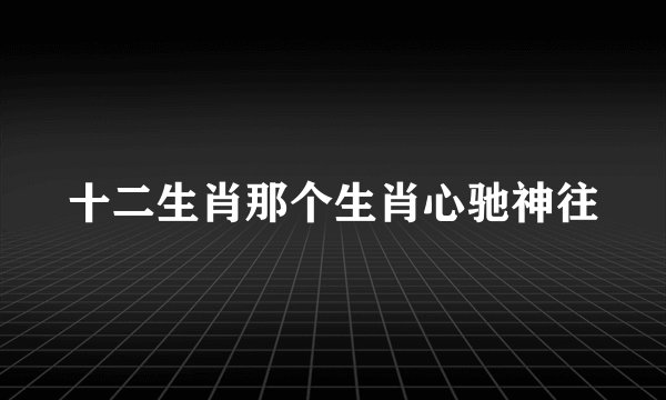 十二生肖那个生肖心驰神往