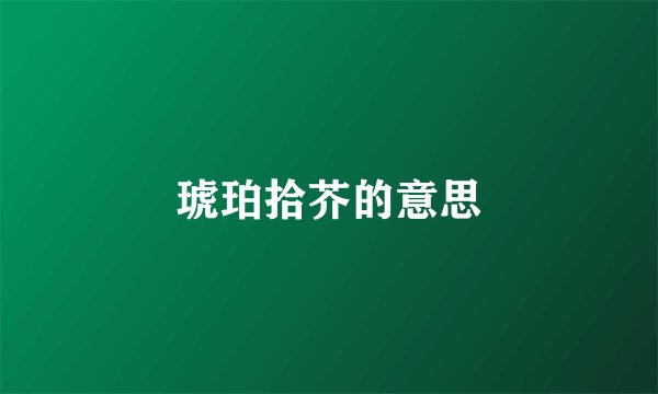 琥珀拾芥的意思