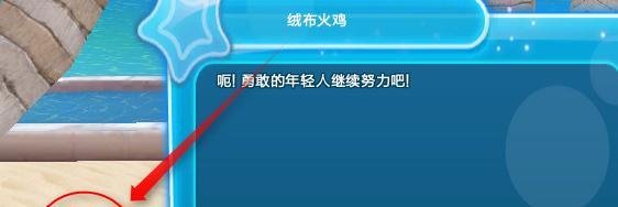 QQ炫舞沙滩寻人绒布火鸡在哪里？
