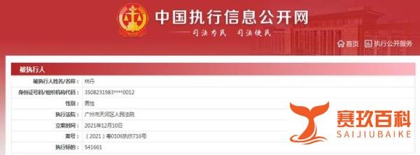 林丹回应因机票款成被执行人：公司纠纷，并不知情