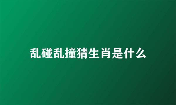 乱碰乱撞猜生肖是什么