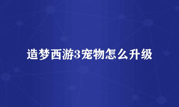 造梦西游3宠物怎么升级