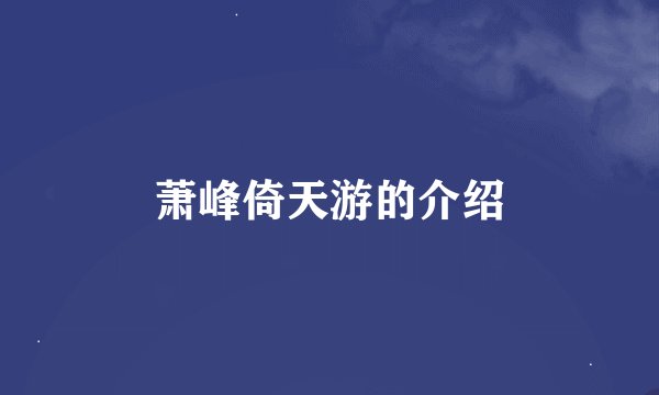 萧峰倚天游的介绍