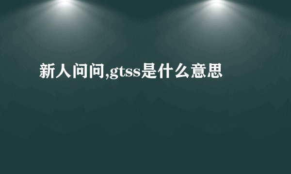 新人问问,gtss是什么意思