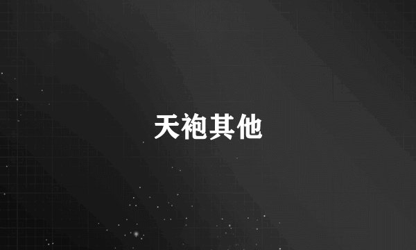 天袍其他