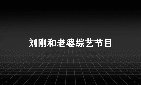 刘刚和老婆综艺节目