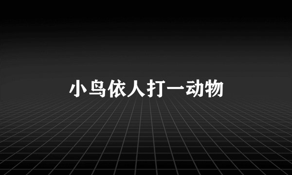 小鸟依人打一动物