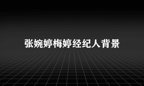 张婉婷梅婷经纪人背景