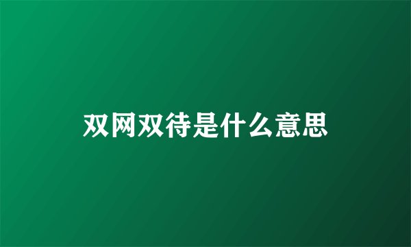 双网双待是什么意思