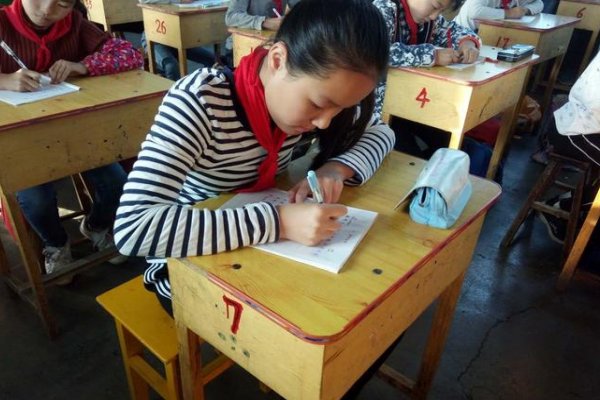 敲敲打打是什么生肖
