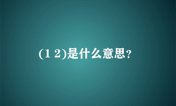 (1 2)是什么意思？
