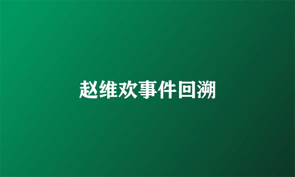 赵维欢事件回溯