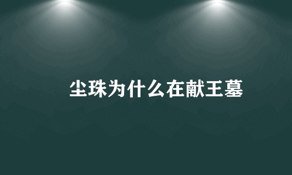 雮尘珠为什么在献王墓